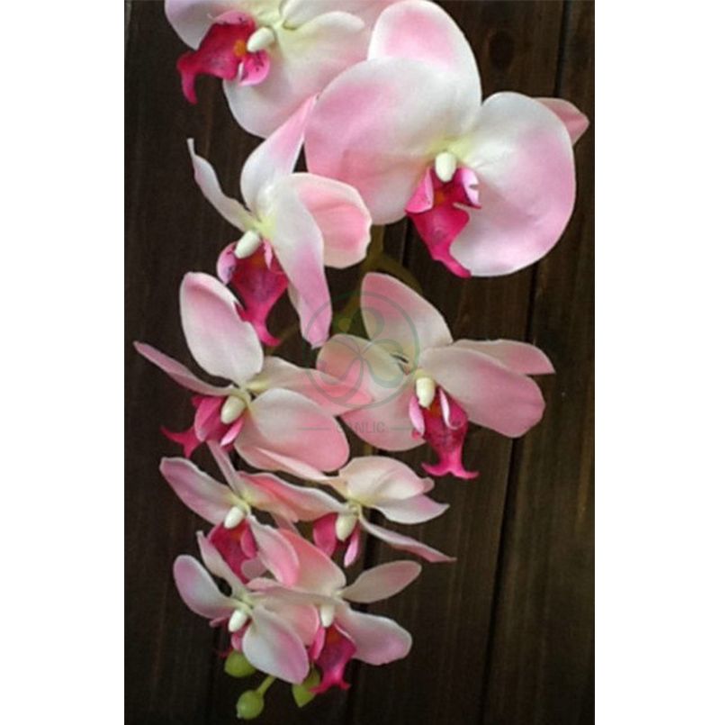 Wholesale Factory Real Touch Latex Flower Artificial Orchid for Wedding Decoration SL-CD2212AWFD
