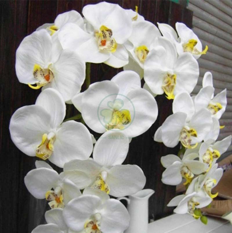 Wholesale Factory Real Touch Latex Flower Artificial Orchid for Wedding Decoration SL-CD2212AWFD