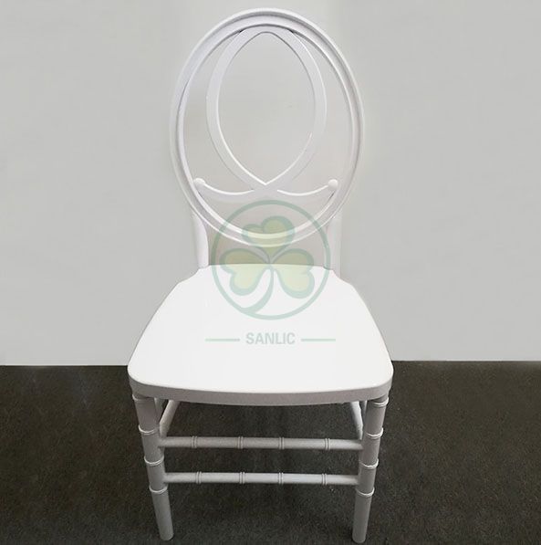 Morden Elegant Transparent Resin Phoenix Chair with Fish-Shaped Back for Weddings and Events   SL-R2015BPFC