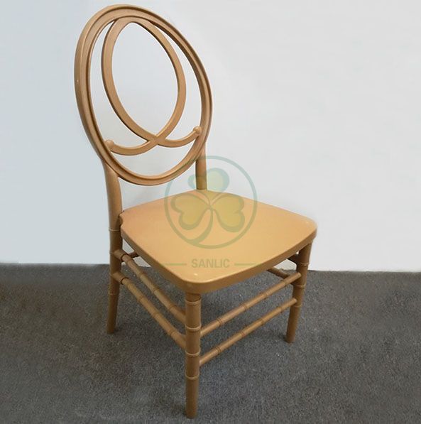 Morden Elegant Transparent Resin Phoenix Chair with Fish-Shaped Back for Weddings and Events   SL-R2015BPFC