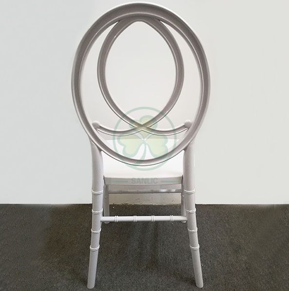 Morden Elegant Transparent Resin Phoenix Chair with Fish-Shaped Back for Weddings and Events   SL-R2015BPFC