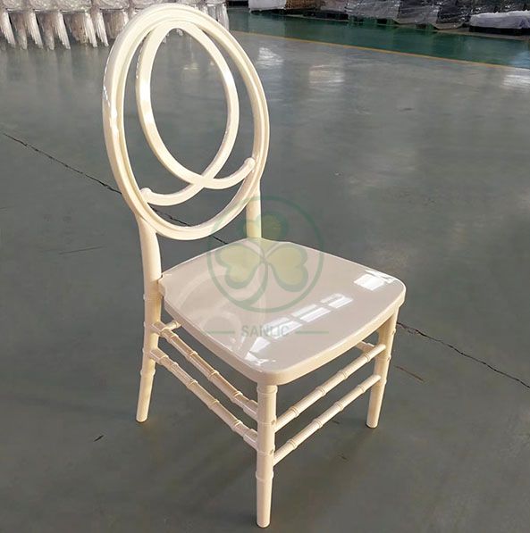 Morden Elegant Transparent Resin Phoenix Chair with Fish-Shaped Back for Weddings and Events   SL-R2015BPFC