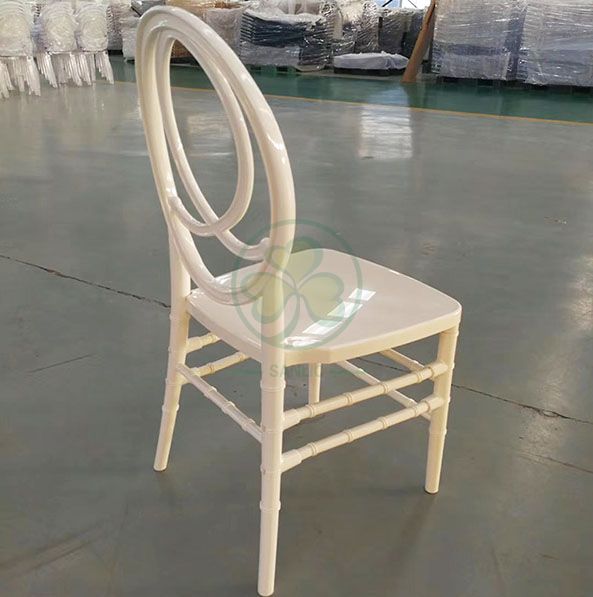 Morden Elegant Transparent Resin Phoenix Chair with Fish-Shaped Back for Weddings and Events   SL-R2015BPFC