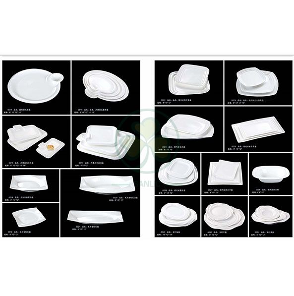 Eco Friendly White Porcelain Wedding Catering Ceramic Dinner Plates Bone China Plates  SL-CD2202WPCP