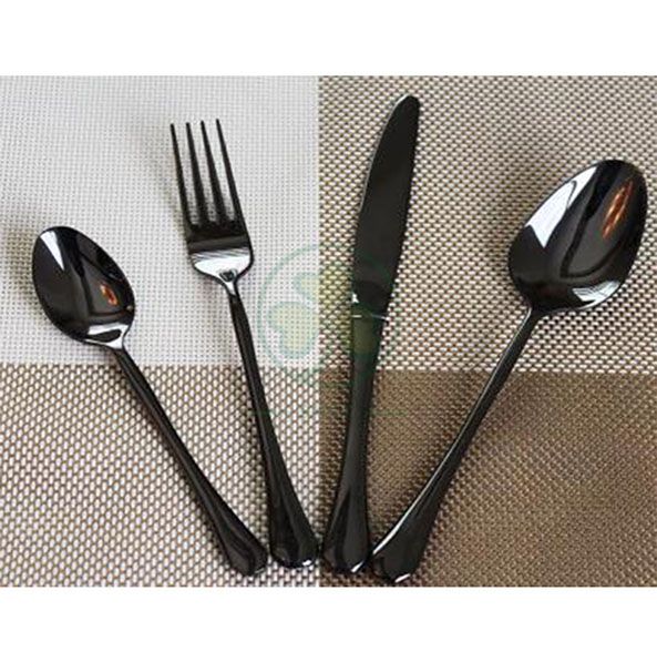 Factory Wholesale Stainless Steel Dinnerware Sets Cutlery Set Spoons Forks and Knives for Events SL-CD2207SSFK