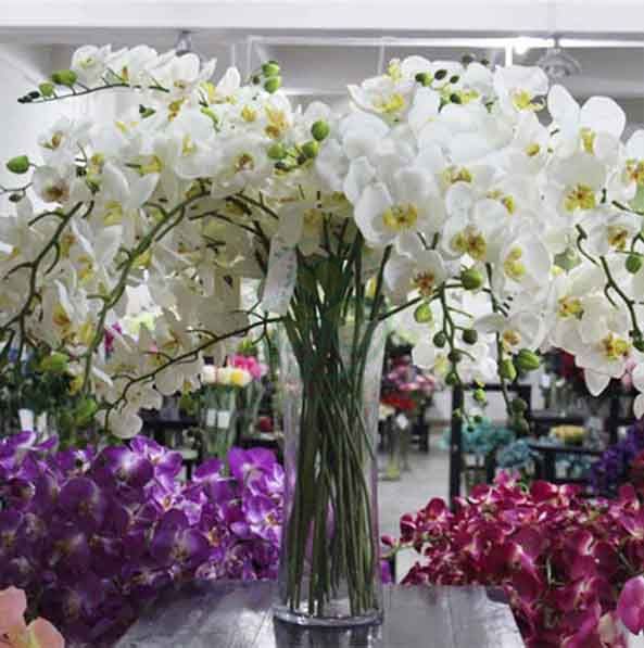 Wholesale Factory Real Touch Latex Flower Artificial Orchid for Wedding Decoration SL-CD2212AWFD