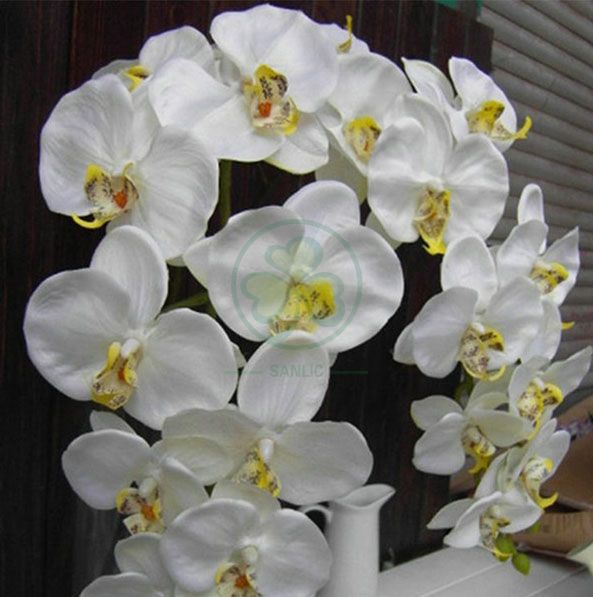 Wholesale Factory Real Touch Latex Flower Artificial Orchid for Wedding Decoration SL-CD2212AWFD