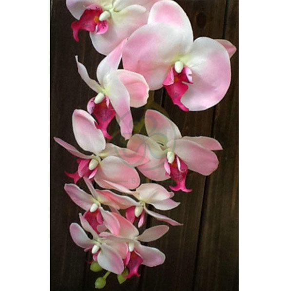 Wholesale Factory Real Touch Latex Flower Artificial Orchid for Wedding Decoration SL-CD2212AWFD