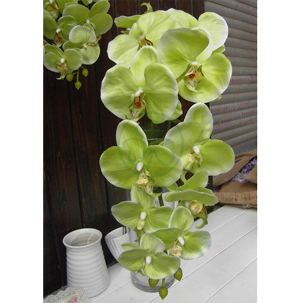 Wholesale Factory Real Touch Latex Flower Artificial Orchid for Wedding Decoration SL-CD2212AWFD