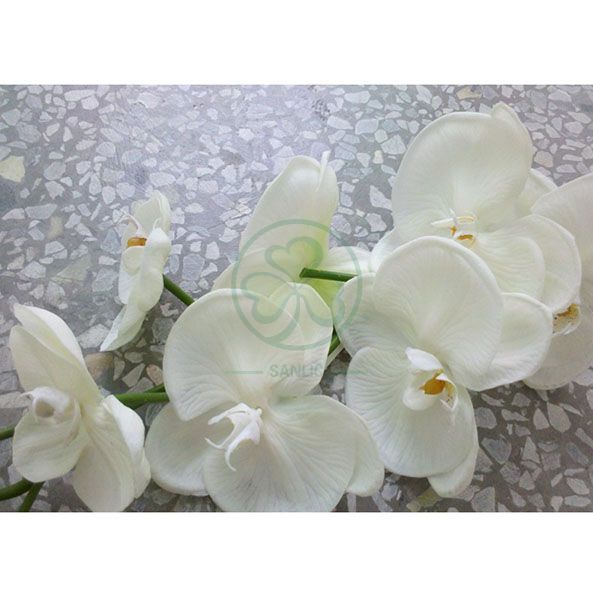 Wholesale Factory Real Touch Latex Flower Artificial Orchid for Wedding Decoration SL-CD2212AWFD