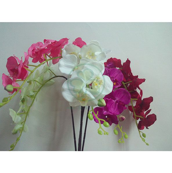 Wholesale Factory Real Touch Latex Flower Artificial Orchid for Wedding Decoration SL-CD2212AWFD