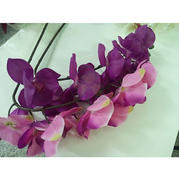 Wholesale Factory Real Touch Latex Flower Artificial Orchid for Wedding Decoration SL-CD2212AWFD